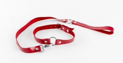 Ошейник с поводком
