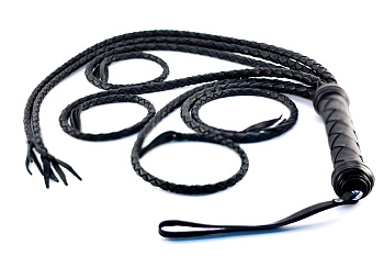 Шестихвостая плеть